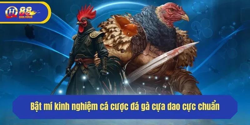 Bật mí kinh nghiệm cá cược đá gà cựa dao cực chuẩn